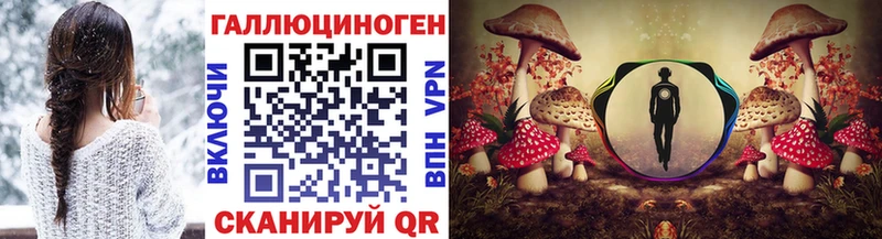 blacksprut зеркало  darknet как зайти  Чёрмоз  Псилоцибиновые грибы прущие грибы  где найти  